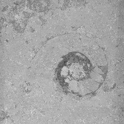 vrige natursten gulve 