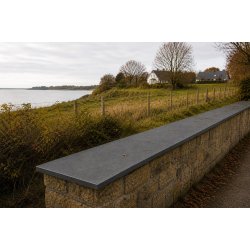 Murafd�kning skifer 25 x 250